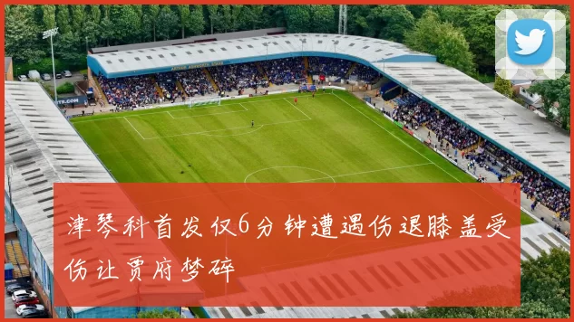 津琴科首发仅6分钟遭遇伤退膝盖受伤让贾府梦碎