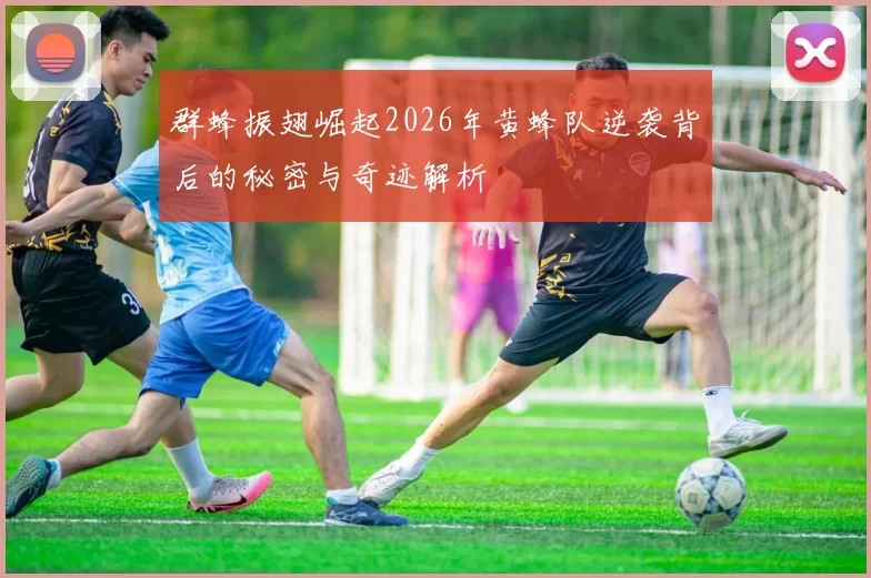 群蜂振翅崛起2026年黄蜂队逆袭背后的秘密与奇迹解析